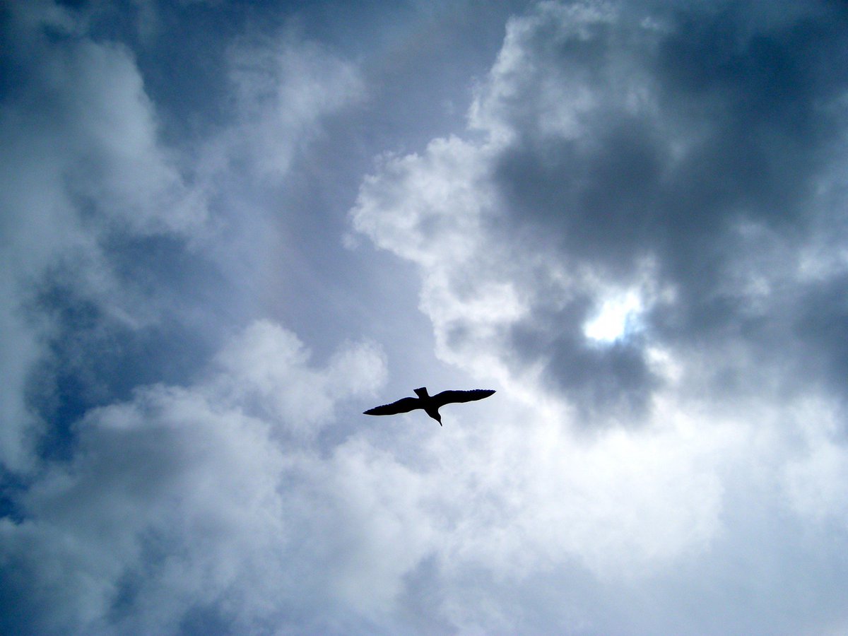 Voici la suite des vidéos du concert 100% jeux vidéo !
Au menu : Sogno di Volare, composé par Christopher Tin et Hymn of the Faith, composé par Nobuo Uematsu !
Voici la playlist des morceaux du concert, rendez-vous tous les mardis et vendredis à 18h :

youtube.com/playlist?list=…