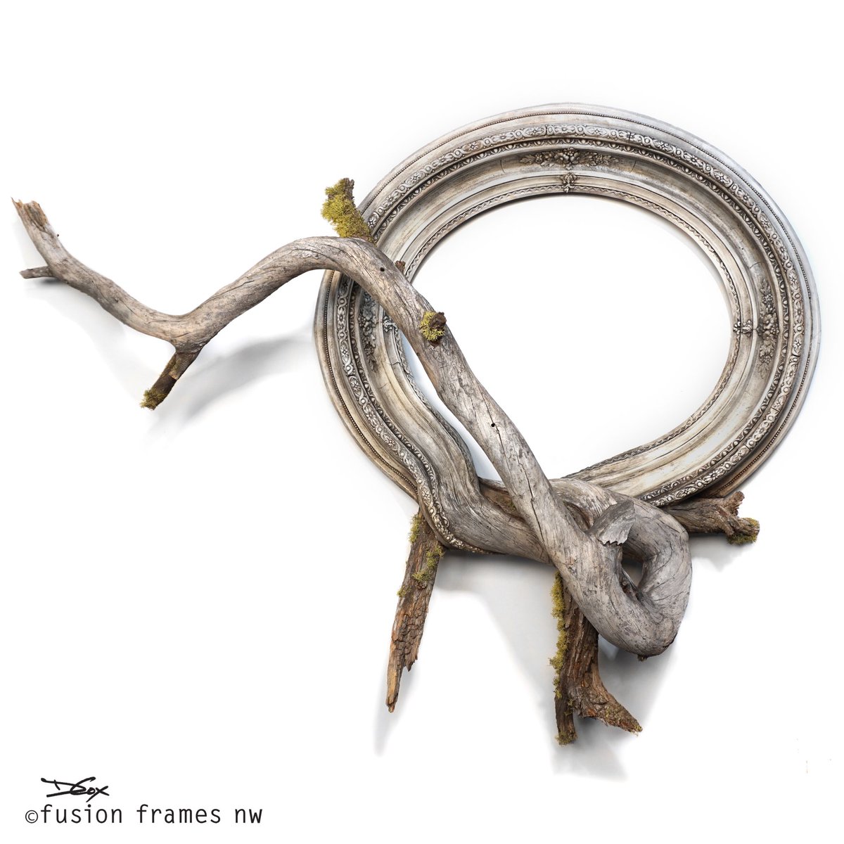 fusionframesnw's tweet photo. #Zen is the union of an #antique #frame and #pine branch. Reminds me of a depth of life achieved by means of harmony. #featureme #art https://t.co/fXIiuxg6QL