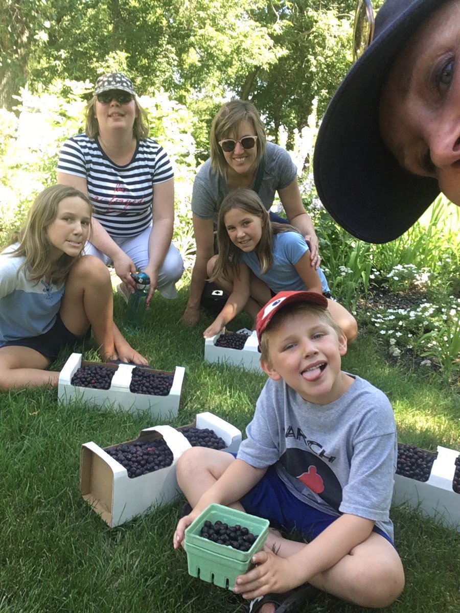 Thanks @pborchard for the great morning for picking Saskatoons.  What a wonderful spot you have!  And the berries are fantastic!  #berrypicking #saskatoons #wpgorchards