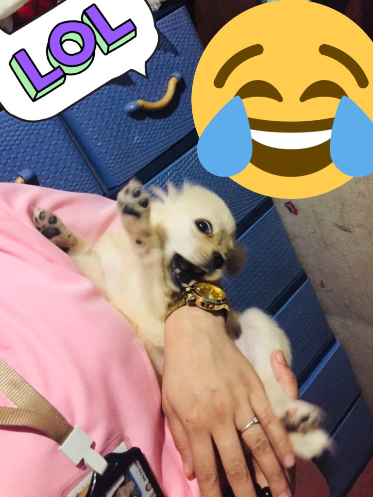 eurickhen's tweet photo. MyLove🥰 https://t.co/5slnFEk0yT