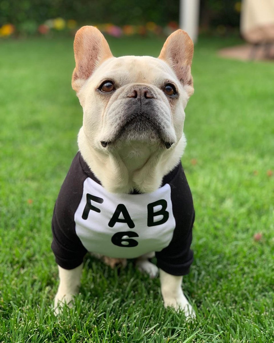 QueerEye's tweet photo. Bruley is REA 👏 DY 👏  for season 4 and serving us all the angles henny ✨ https://t.co/r2As2WsCf3