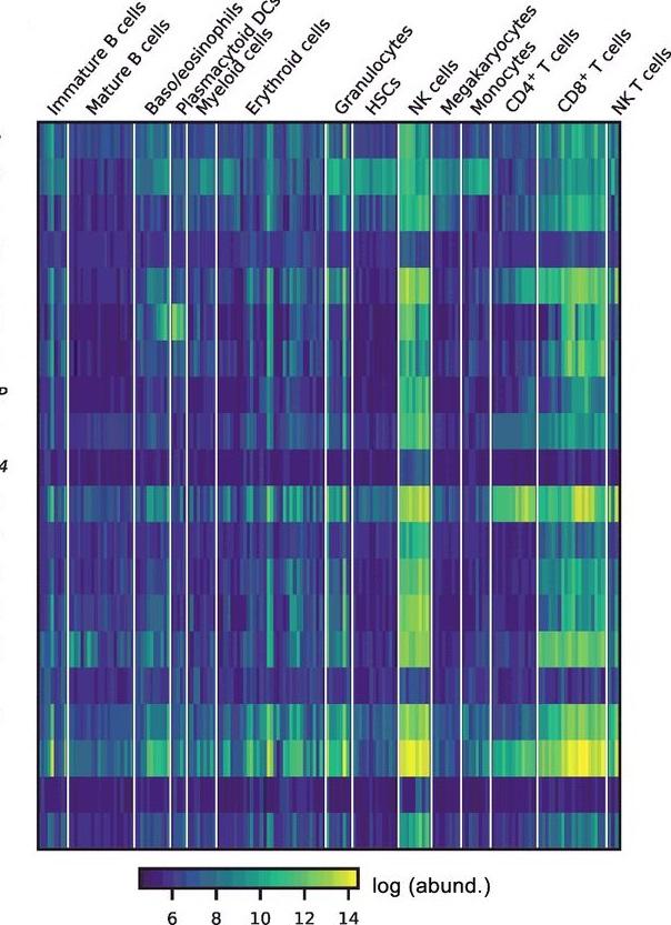 CIR_AACR's tweet photo. #Singscore, a gene-set scoring method, reveals that #NKcell infiltration correlates with improved patient survival rates. Learn how stromal and tumor elements, as well as cytokines, are involved. @JoeCursons
@Fer_NK_nando #GeneSignature
#RNAseq
https://t.co/VYU5j0y3L1 https://t.co/nOifizJEuW