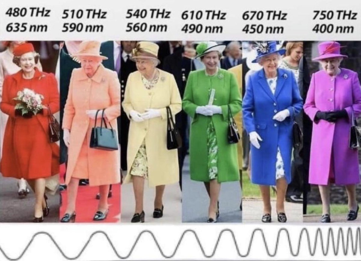 rmassonix's tweet photo. After 9 months of PhD I have finally found a palette for a 6-color tSNE/UMAP that is divergent, colorblind-friendly and readable in black&amp;white. God bless the queen!

queen <- c("#CD2C14", "#F4B4A3", "#EEE2B9", "#4FAA52", "#1A40AD", "#8C2EA9") https://t.co/mM3IKLzqZK