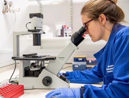 UoS_WISHlab's tweet image. We are recruiting a new #laboratory '#technician in the #WISHlab. Closing date is Friday 26th July. Follow the link...
jobs.soton.ac.uk/Vacancy.aspx?r…

@CRUKSouthampton @ECMC_UK @unisouthampton @UHS_Jobs
