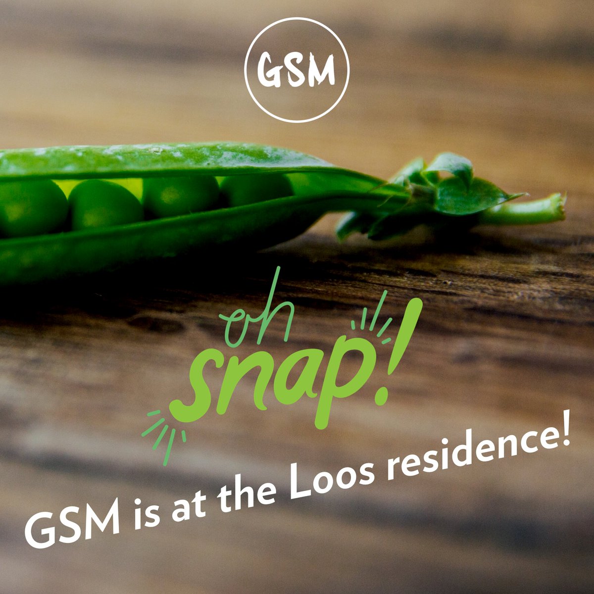 GSM Carmel tweet media