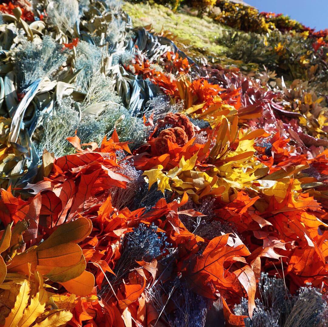 Clearfork tweet media