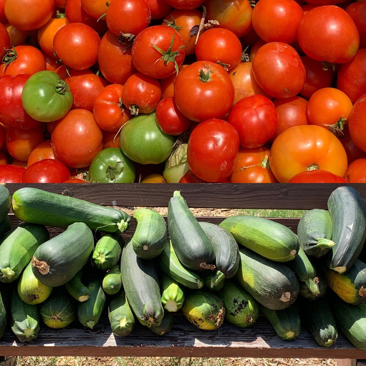 Deb Walkemeyer tweet media