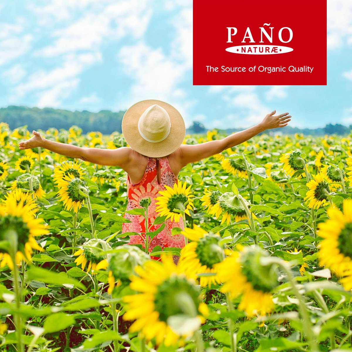 Queda poco para la cosecha de las pipas de girasol🌻. De mientras, ¡podemos disfrutar de paisajes maravillosos💁🏼‍♀️!
-
#Paño #PañoFruits #AgriculturaEcológica #AlimentaciónEcológica #AlimentaciónOrgánica #AlimentaciónSaludable #VidaSaludable #Organic #ProductosGourmet