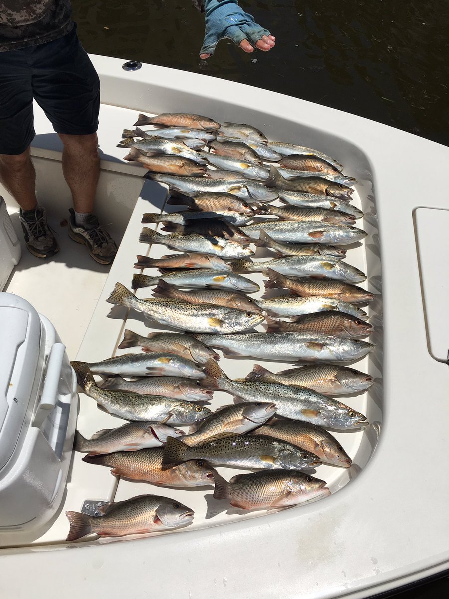 Florida Keys Mangrove Snapper bite. Full moon in July.  FishingHeadquarters.net