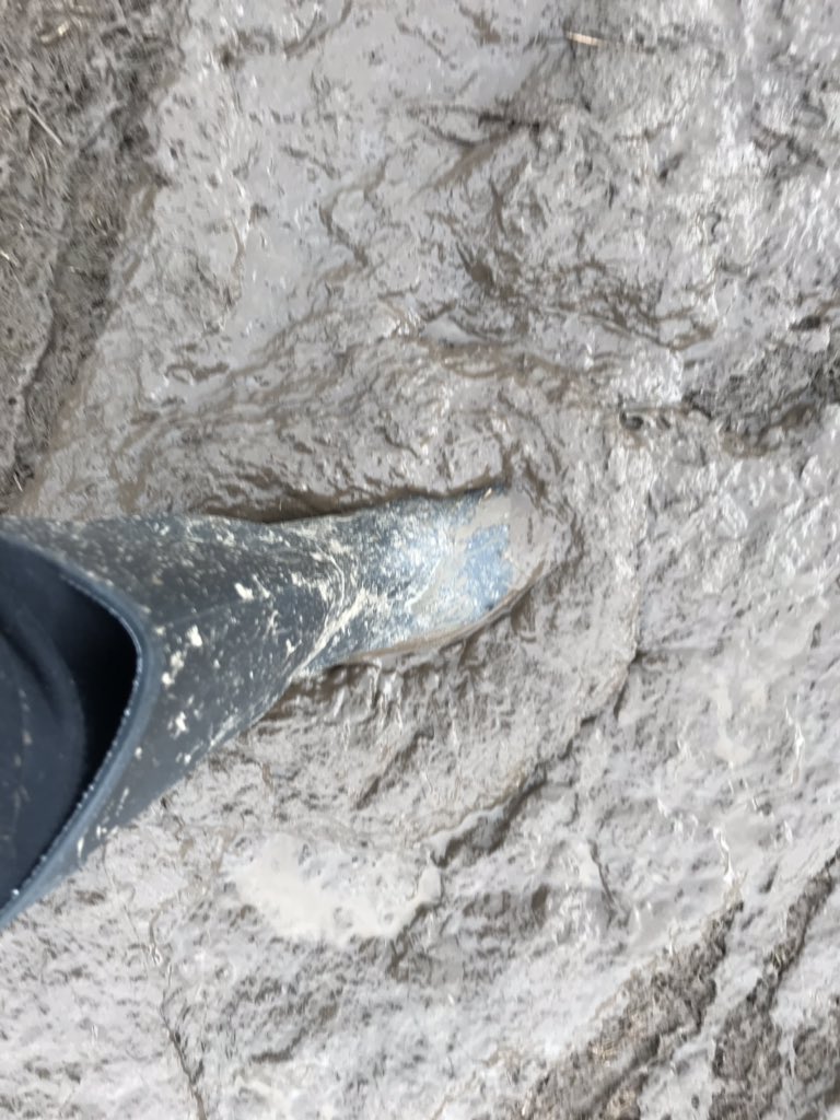 Wirral_JohnM's tweet photo. Good old fashioned festival weather at #Bluedot If youβre here, come and see us at the #Huckathon stand and help us map Uganda so we can help get prosthetic limbs to victims of conflict. Think it might be time for a pint or 2! #rainwhatrain https://t.co/Rb5G3La1Ib
