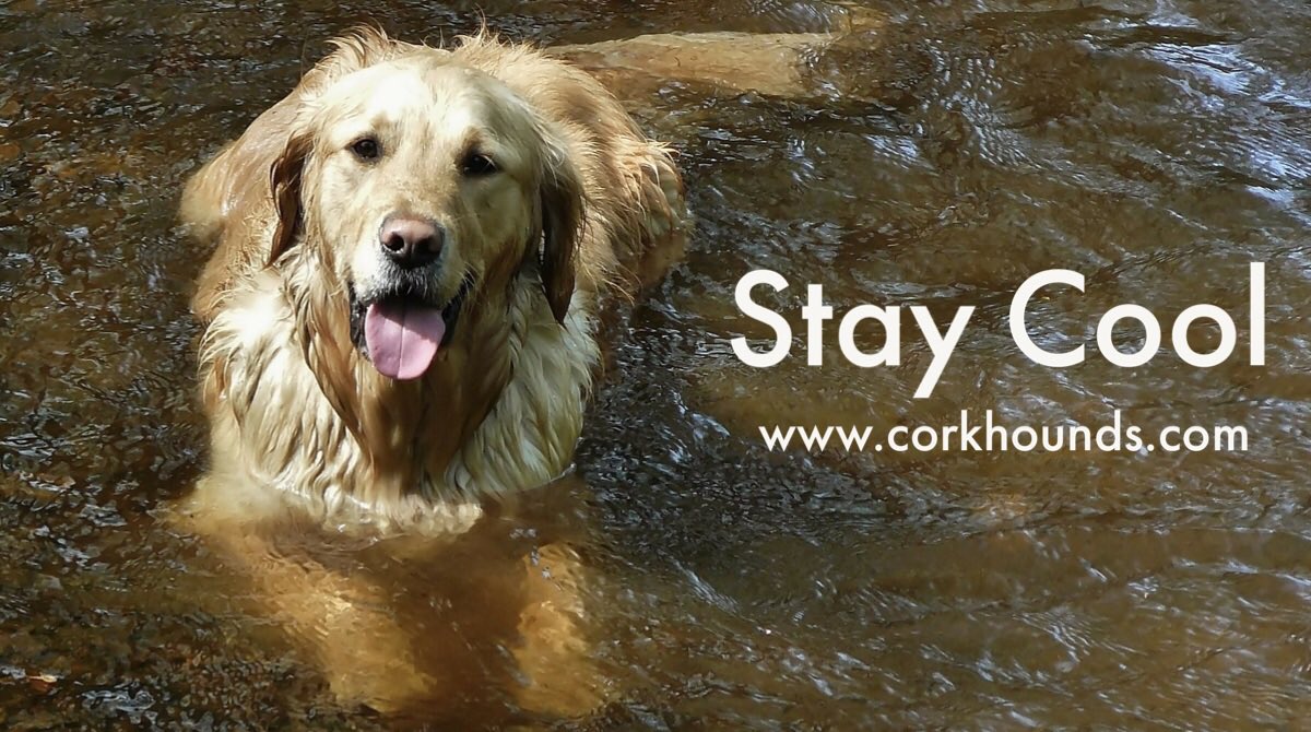 Wishing everyone a stay cool weekend with your pup/s!! 🐶🐾🍷❤️ corkhounds.com