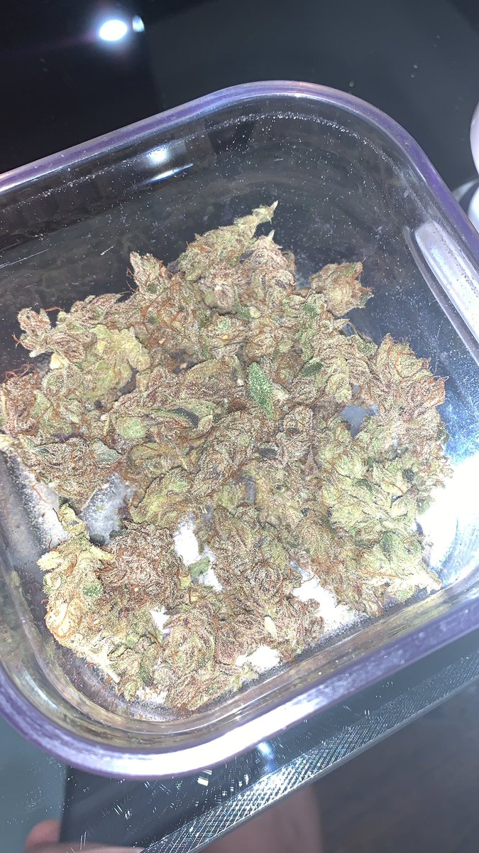 DJBentlyLMP's tweet photo. The streets aint dry for me. 😂😎 #purplediesel a mix of #purple chem and sour diesel. Been smoking this strand for about 6 months https://t.co/zwTFbnsLI2