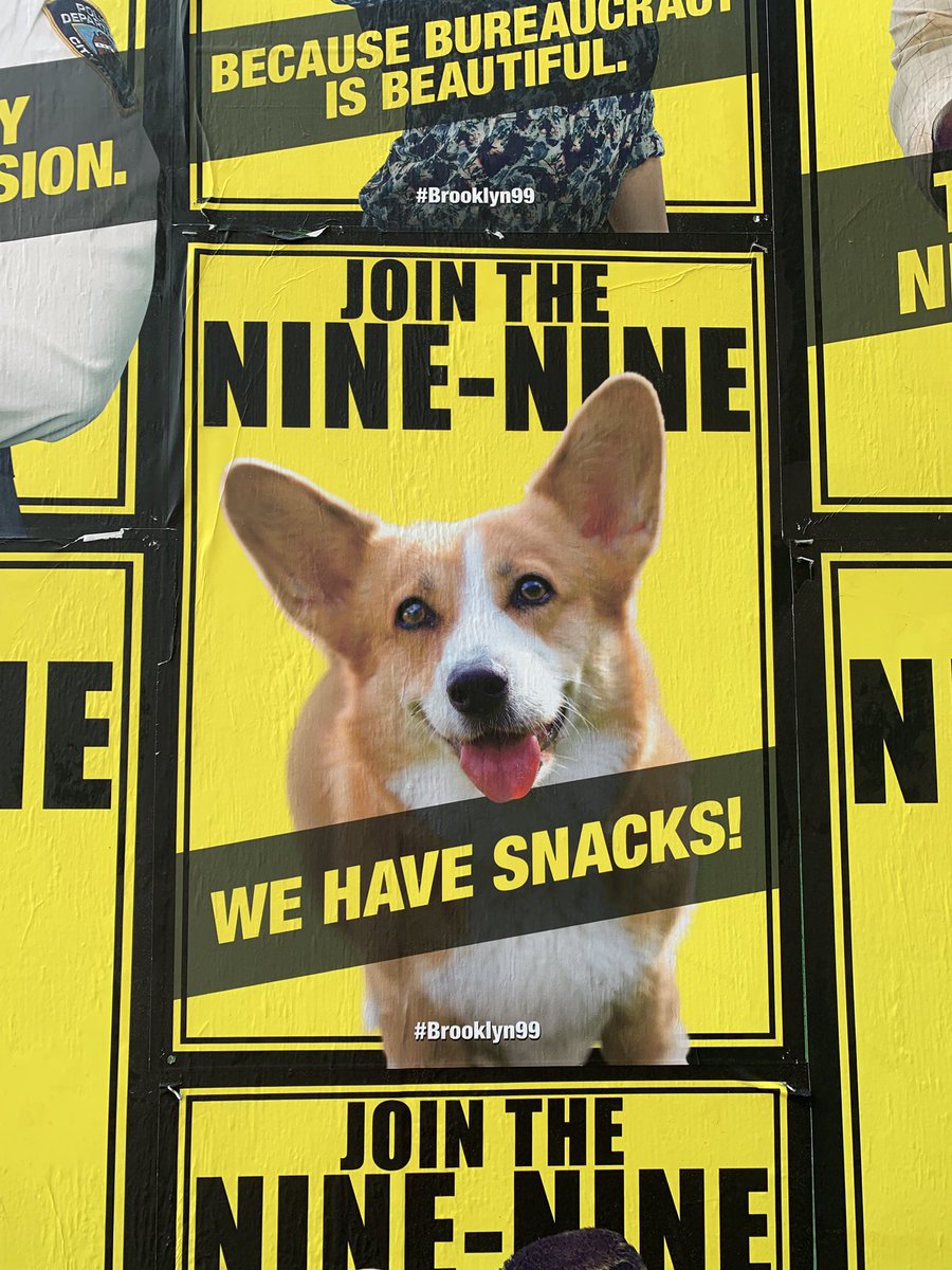 CorgiKohmander's tweet photo. So excited! First group for #Brooklyn99 offsite! #RIPCheddar @nbc #SDCC #SDCC2019 #SDCC50 https://t.co/JXgye4GvGb