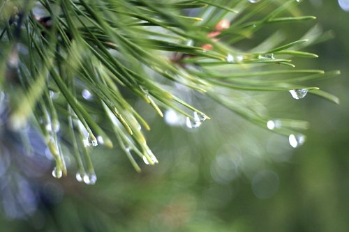 TAPIntegrative's tweet image. IV #vitaminC might benefit patients with allergic diseases by reducing oxidative #stress and #inflammation tapintegrative.org/Blog/July-2019… #foamed