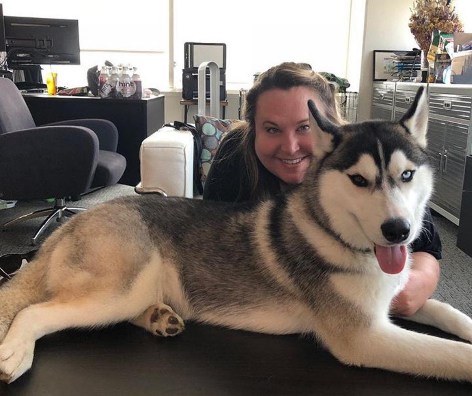 HMLGLaw's tweet image. It’s been a while since we’ve gotten a visit from Boudi, our notoriously energetic office dog. Well of course, between doggy day care, movie sets, and grooming appointments, there’s barely any time left for office visits! It’s okay Boudi, you’re still our mascot. #1fans