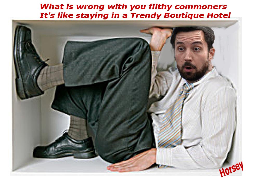 horseymatilda's tweet photo. Posh Boy thinks it is trendy for commoners to live in a box https://t.co/K7vA8kMWKQ