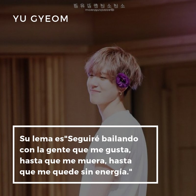 KPOPCOLOMBIA3's tweet photo. Seguimos con @GOT7Official. Hoy datos sobre es más joven del grupo. 😁🎆😎🎆 #GOT7WORLDTOUR #GOT7_KEEPSPINNING #GOT7_SPINNINGTOP #got7chile #got7 https://t.co/WAnNcZLKnj