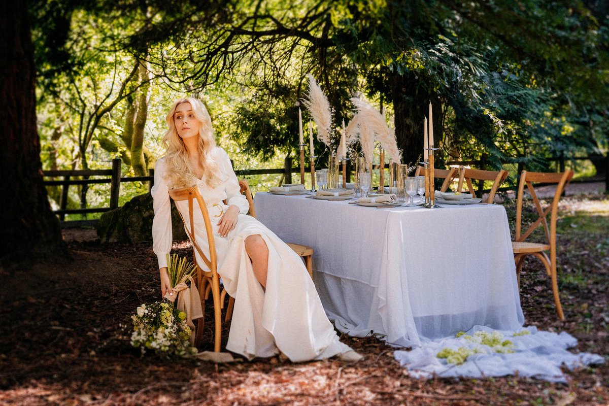 NOVIAS Select tweet media