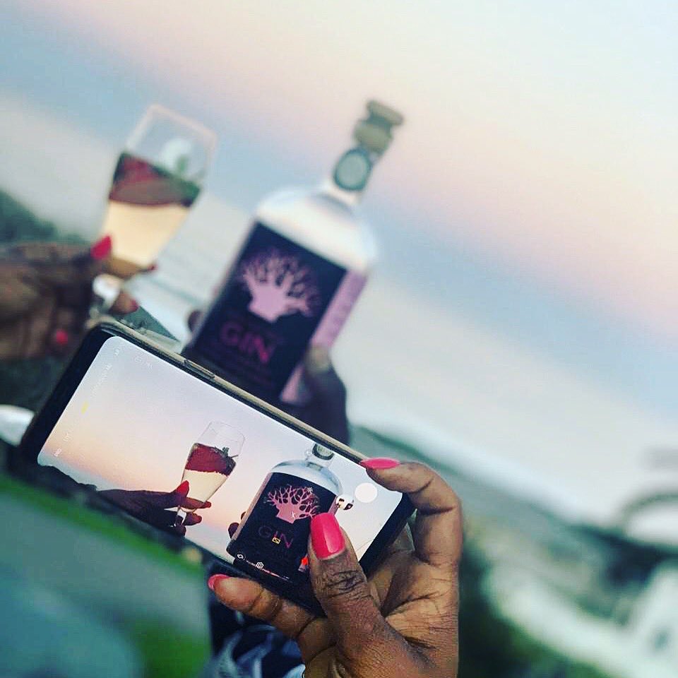 Moringa Gin tweet media