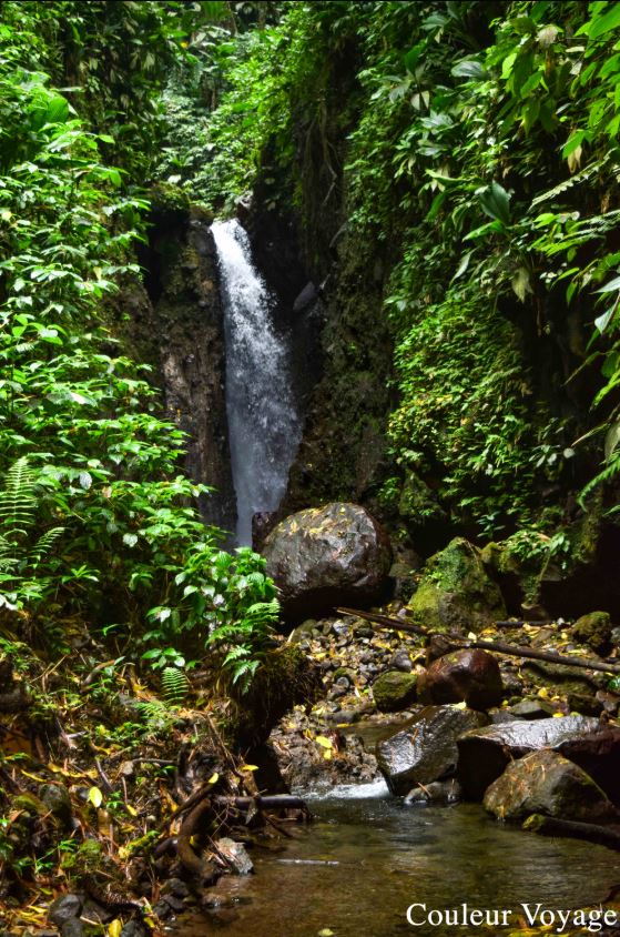 Allez hop mise à jourN°31- La cascade des Rois au Morne Rouge