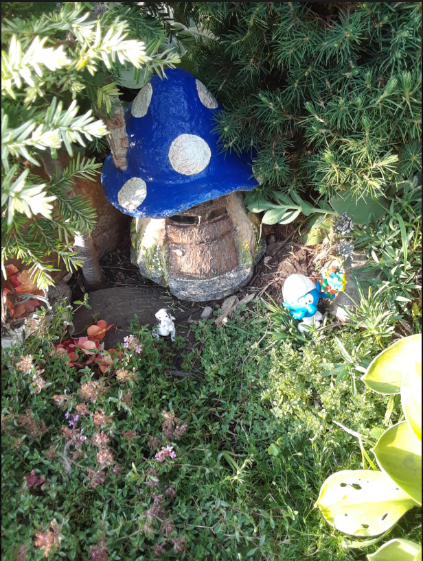 ACVanierCA's tweet photo. Have you ever visited the Vanier Smurf Garden #Vanier50 - Where do you think is ? Avez-vous visité le Jardin des schtroumpfs #Vanier50 - où est-il selon vous ? https://t.co/KYSco46EUh