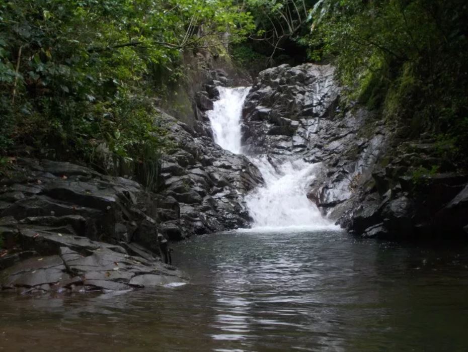 N°32- Les bassins et cascades de la rivière du Carbet