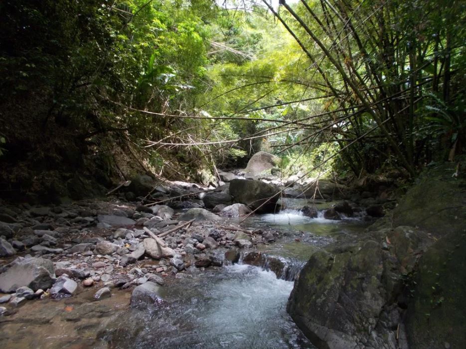 N°32- Les bassins et cascades de la rivière du Carbet