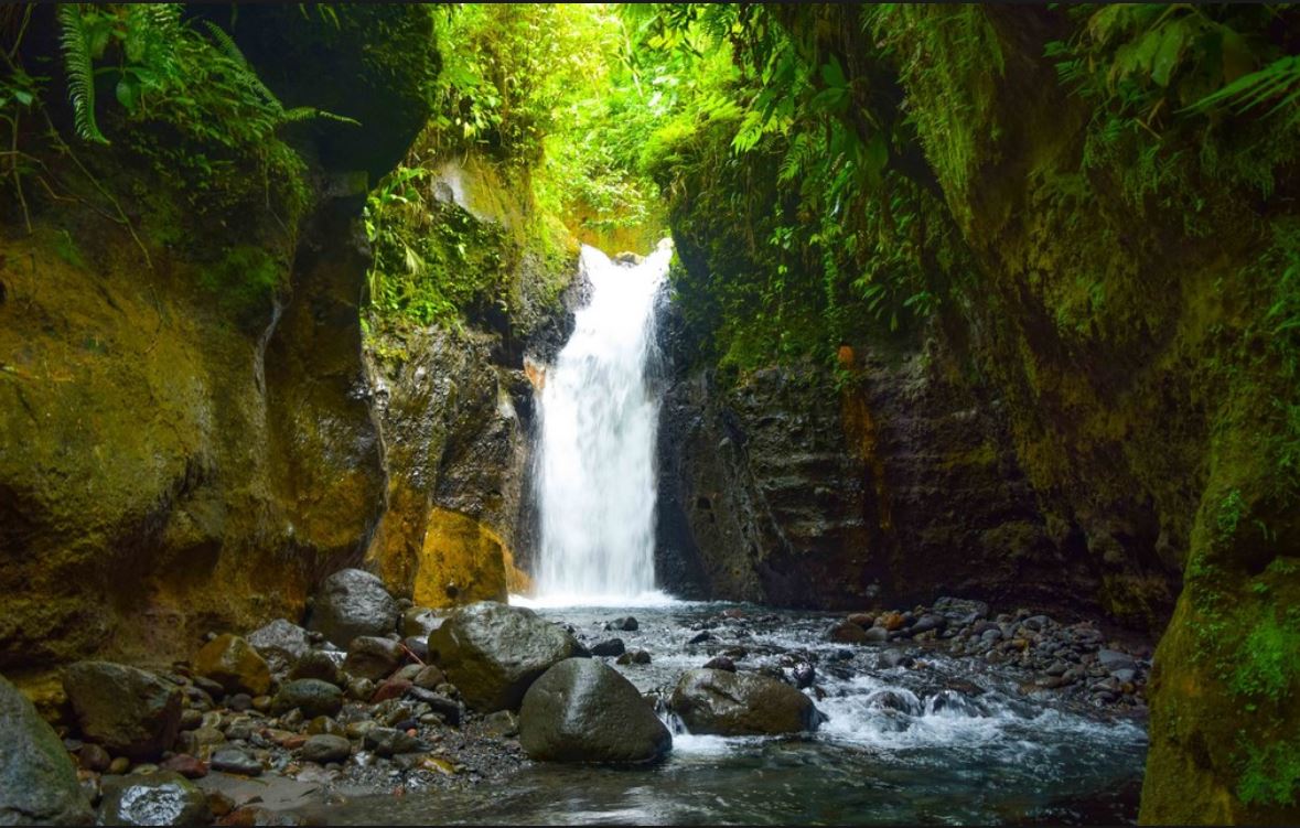 N°33- La cascade Dany à Ajoupa Bouillon