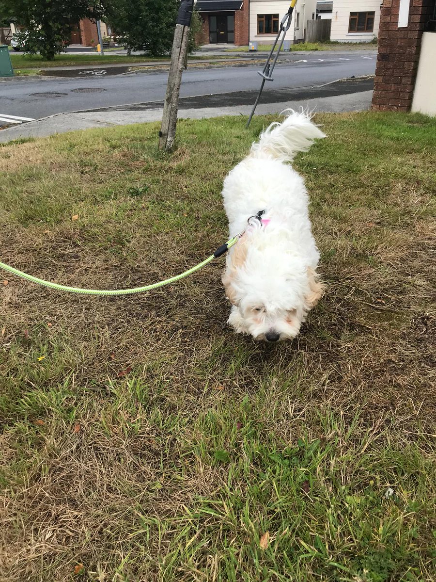 Nug-Life tweet media