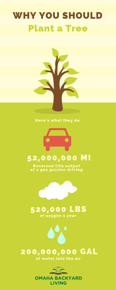 Do you know the power that is inside a single tree? They can be beautiful, provide shade around your outdoor living areas, and are great for the environment!