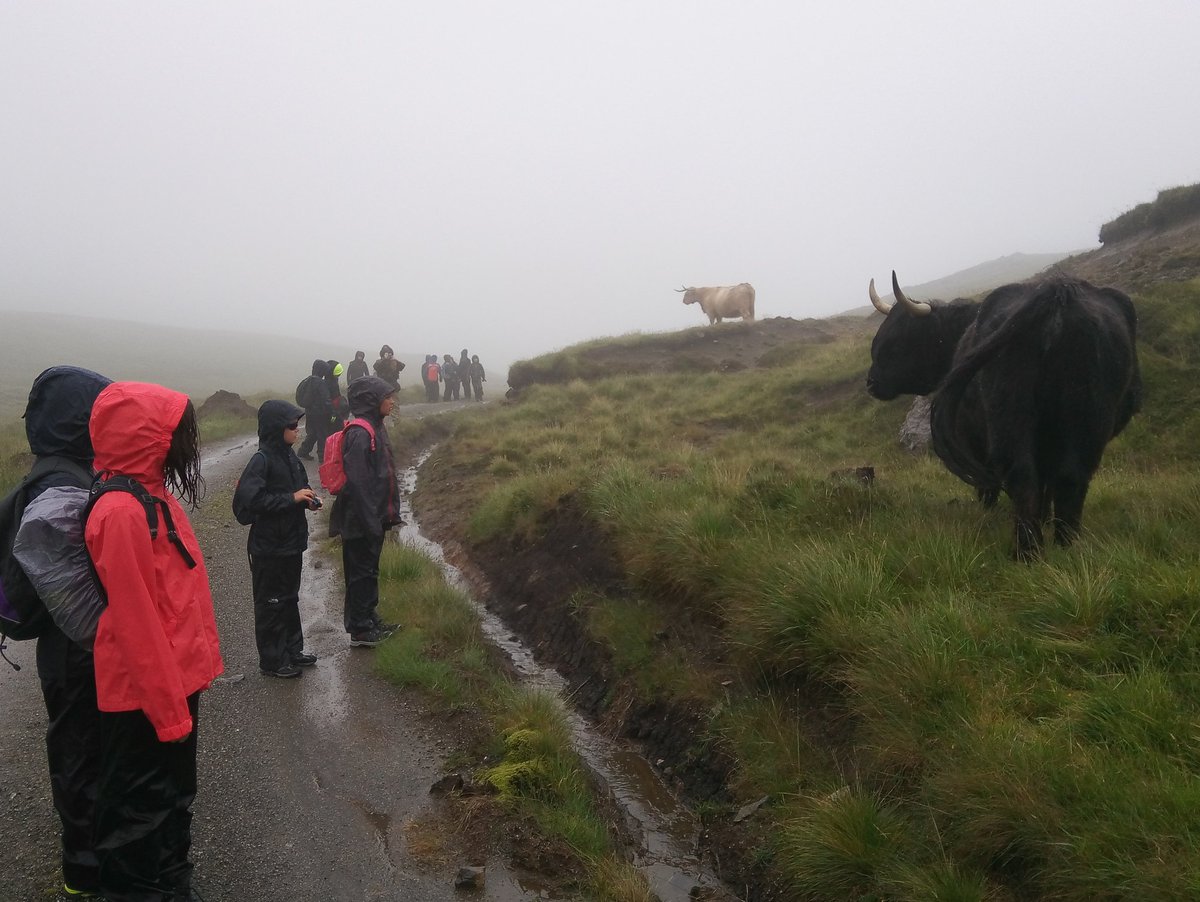 NHPUpperSchool's tweet photo. Excellent first Adventure Society #RùmRanger2019 expedition to the Isle of Rùm for our #summersafari and @JohnMuirTrust Award. Thank you so much @isleofrum @MowiScotlandLtd @nature_scot @kinlochcfa @RumDeerResearch for a truly wild week! @OrdnanceSurvey  @RGS_IBG @RoyalScotGeoSoc https://t.co/72jmuFBVyA