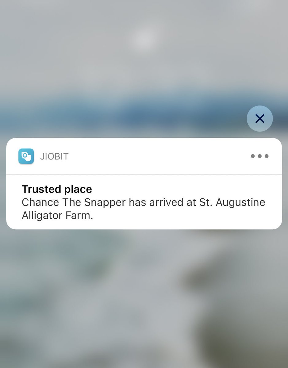 Chance The Snapper - The Humboldt Gator tweet media