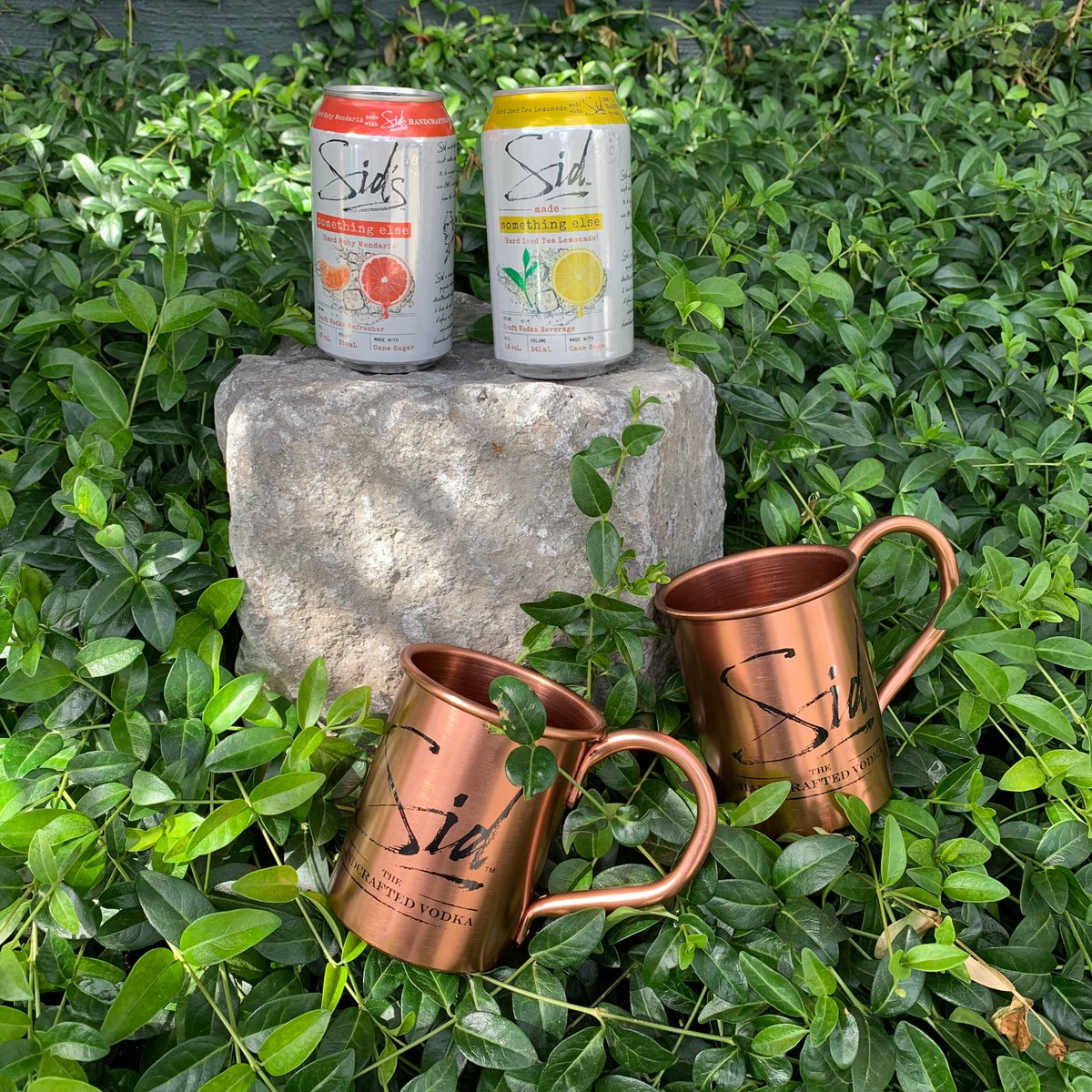 Two is better than one. #SidSays Share, Follow and Tag your Sid buddy for a chance to win a pair of these beautiful #Sid Mule Mugs!!!! 👯