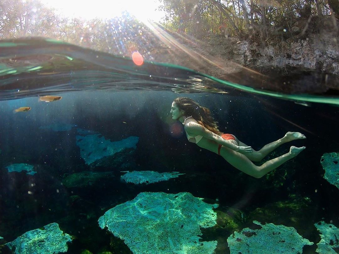 Riviera Maya tweet media