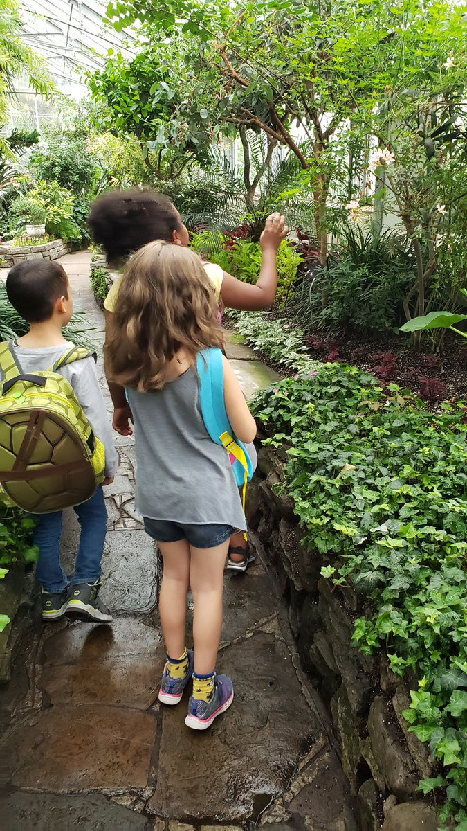 MsCRoti's tweet photo. Scavenger hunt around our community and at Allan Gardens #letsfindit #tcdsbsummerlit19 @TCDSBSummerLit @TCDSB @NancyBarillaro @TeacherToronto https://t.co/hMirDIfT21