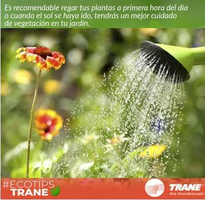 MexicoTrane's tweet photo. ¡Hazlo temprano, la mañana es el mejor momento para regar tus plantas!. #EcoTip #TraneContigo #CompromisoTrane https://t.co/mY6qoKNR0p