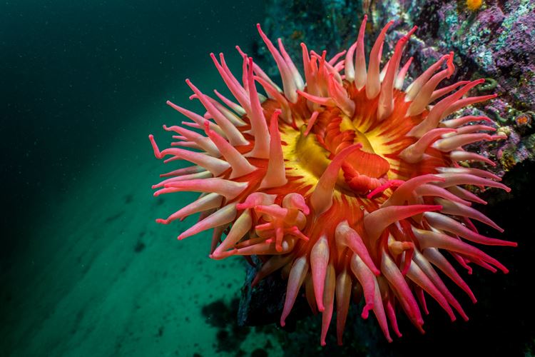 MACParksville's tweet photo. ETHOS Live Lab brings interactive fun for the whole family to the MAC in August! FREE activities! Info: https://t.co/gNjaX875QZ or 250-248-8185.
Image: Cristina Mittermeier Photography
#parksvillebc #vancouverisland #meetyouatthemac #artgallery #exhibitions #softshore2019 #ethos https://t.co/itMx19EoKP