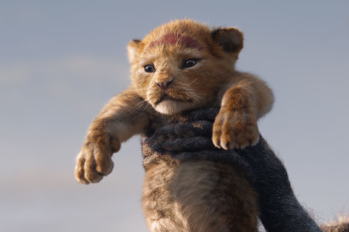 tomconine's tweet photo. Watching Simba raised in @Jon_Favreau @DisneyStudios #TheLionKing mine as well have been their VFX Oscar. Beyond stunning, the animals could have been real trained lions and hyenas. My review: https://t.co/g1mJEN1MID https://t.co/h128HHciPt