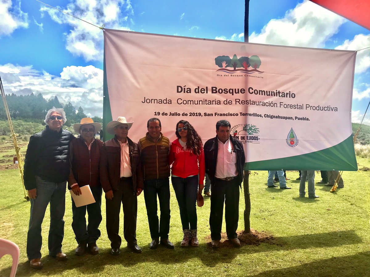 CONAFOR Puebla tweet media