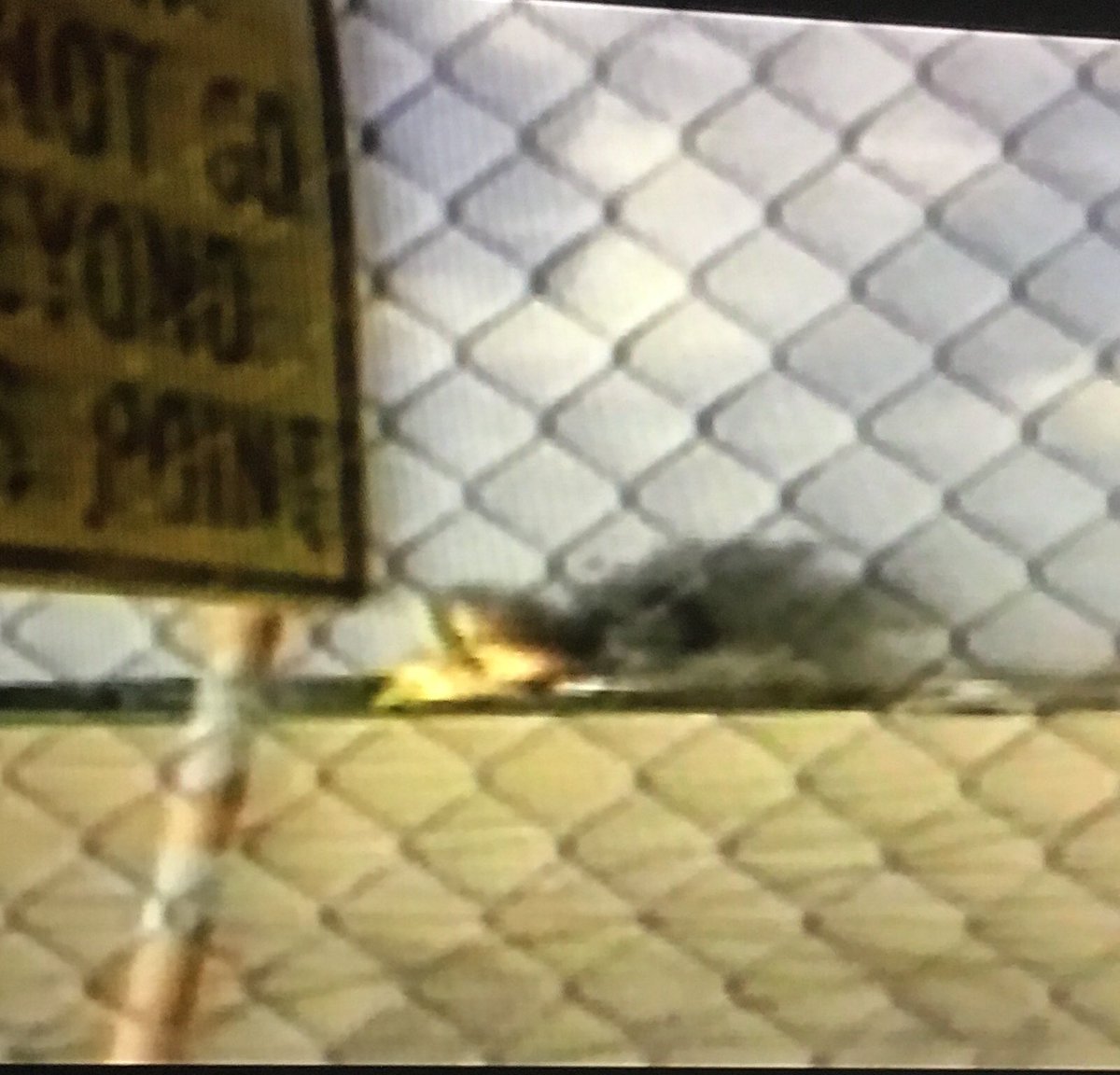 William Pelarenos tweet media