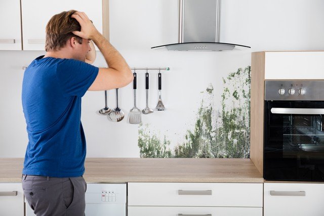 ValorMold's tweet photo. Top 4 Questions Asked About #mold This article explains what causes mold growth, what the most common types and varieties of mold are, how mold professionals find and detect mold, and why you should be concerned about the health implications https://t.co/uM67VzjS70 PLEASE RETWEET https://t.co/99v2V5jbJd