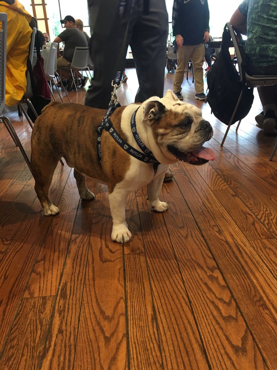 Amazing student-generated leadership projects will soon be implemented at high schools in the Indianapolis area as we wrap up a great week of camp!#ButlerWayCamp #BeTheHero