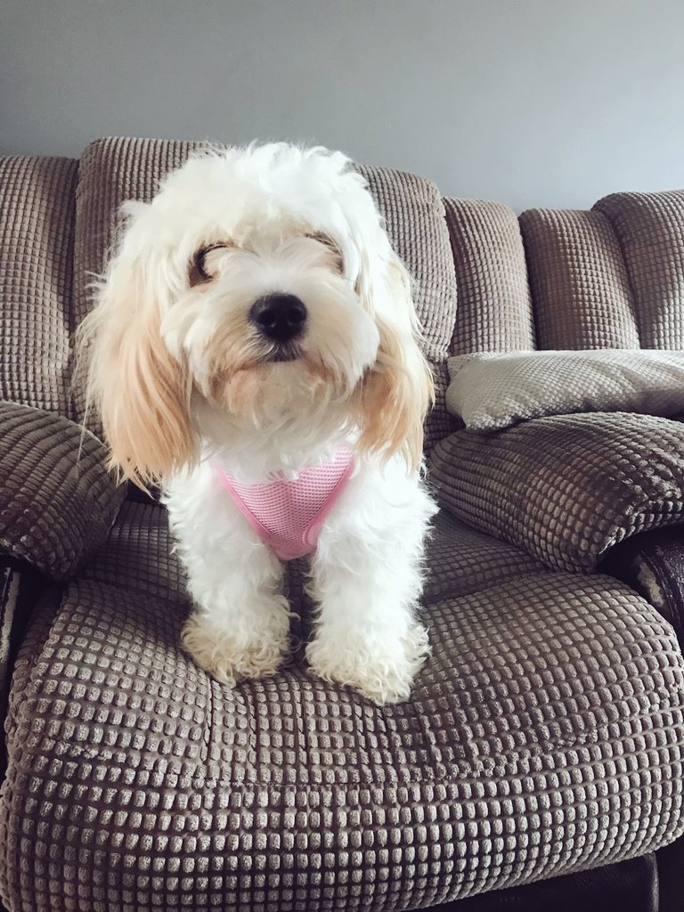 Nug-Life tweet media