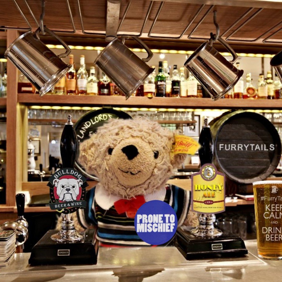 🧸🌻 Alfie 🌻 🧸 tweet media