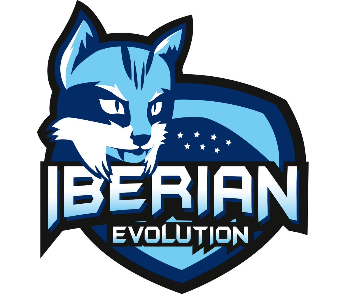 uchielen's tweet photo. Estoy haciendo logos, diseños, vectorizaciones, camisetas y banners sobre todo para equipos de e-sports. Hay precios desde 5 a 55 euros. Más información MD⬇️⬇️⬇️ Se agradece difusión ^^ https://t.co/PyI3djhKZu