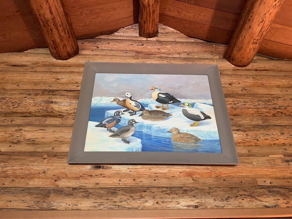 The Muries are truly an inspirational couple that show the imapact that passion, persistence, storytelling, and the love of nature can have on our earth! #NatGeoEdInst #changemakers #MurieHouse #inspiredtotakeaction