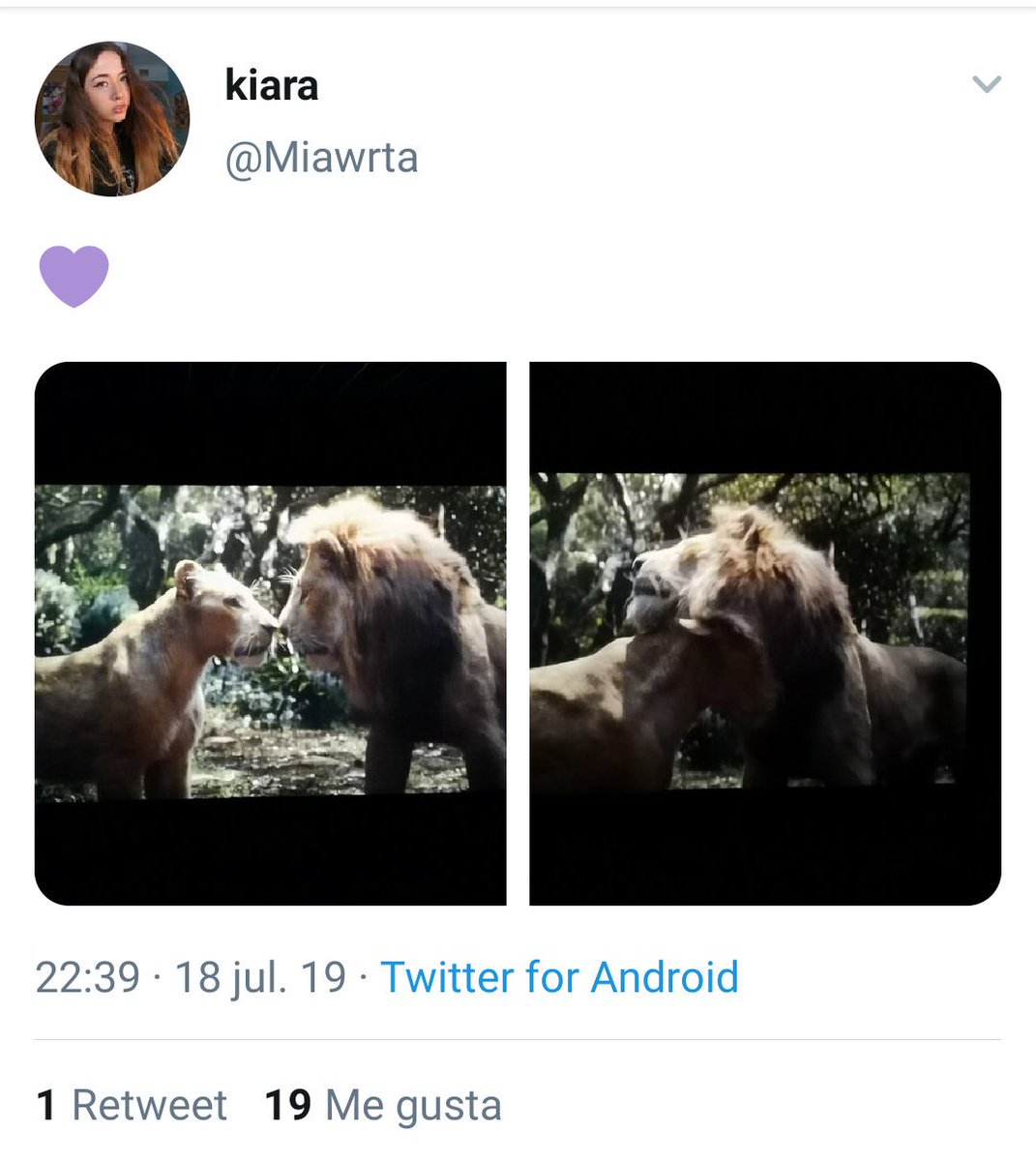 Kevin_s93's tweet photo. Vuelvo a tuitear después de años solo para cagarme en todos los que me deslumbraban ayer en #ElReyLeon grabando stories para ser los más chulos de Instagram. Luego está esta tía, que encima se queja de ella misma 😂 https://t.co/yyDlp9EcLp