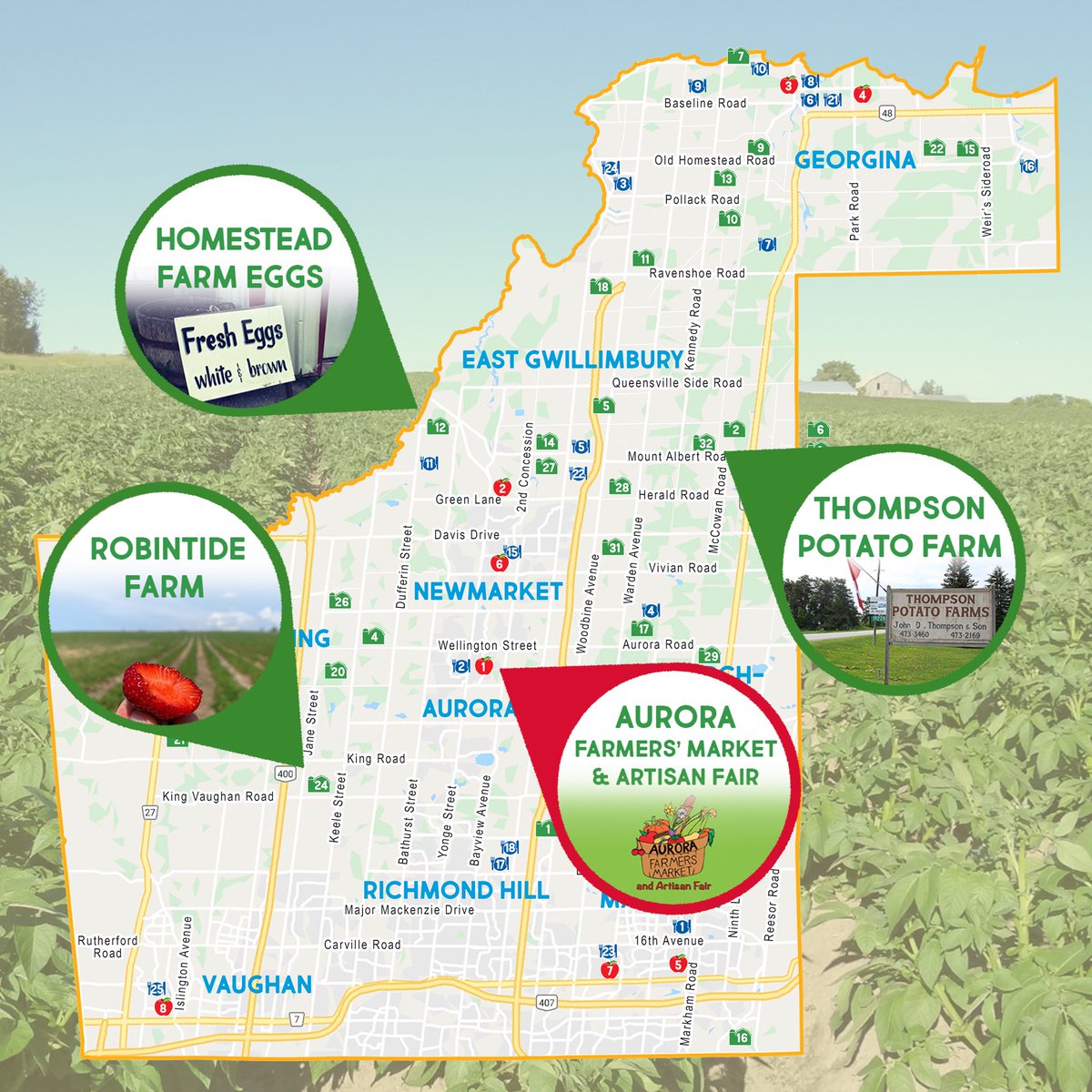 YorkFarmFresh's tweet photo. Crops are rolling in across #YorkRegion get out to farms this weekend to see what’s available.

#passporttofresh #loveYRfood https://t.co/WRZWufv0Ir