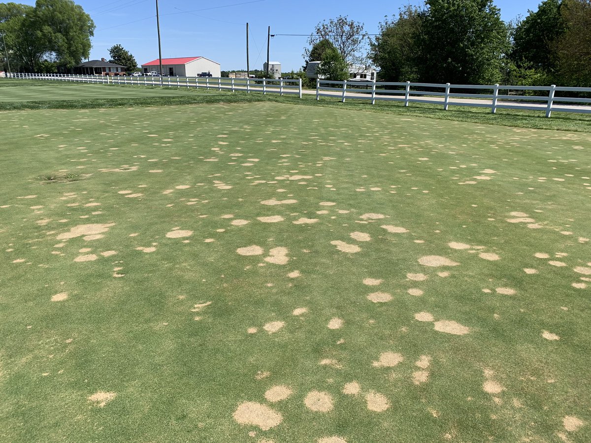If you ever find yourself wondering “should I take 15 seconds to take a photo and send along with my turf sample for diagnostics?” The answer will always be YES. It’s too easy these days and it helps your diagnostic lab HELP YOU. Thank you on behalf of all labs! 👍🏼😎👍🏼