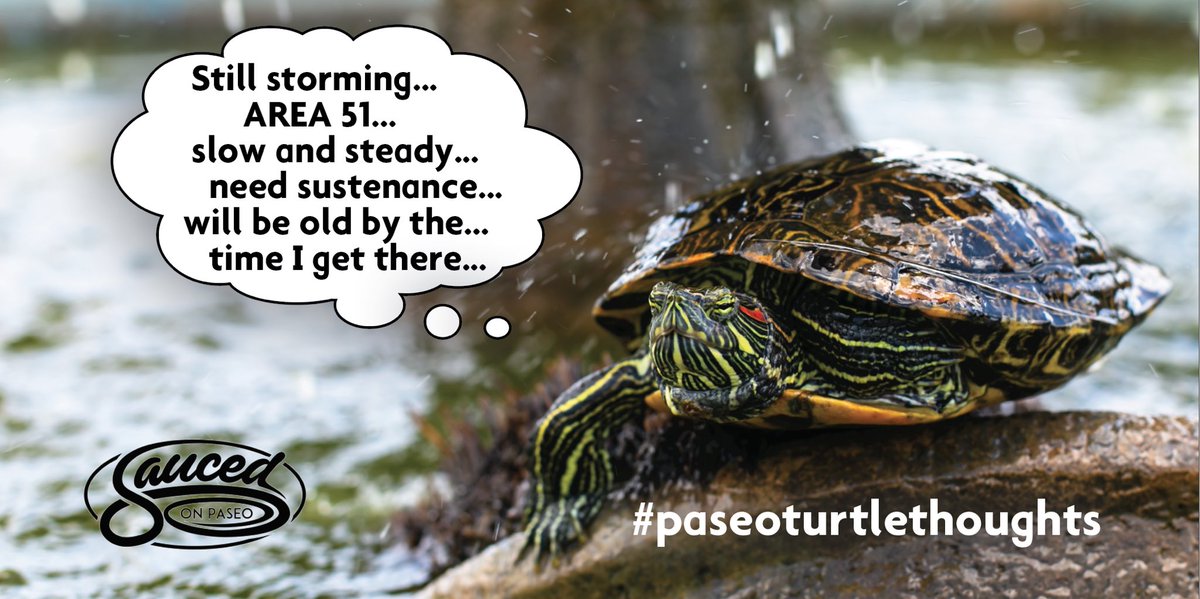 We’ve got your back, turtle. Anyone else need sustenance?#saucedonpaseo #paseoartsdistrict #area51 #paseoturtlethoughts